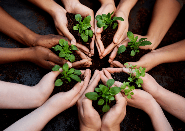 family law support services in Dubai